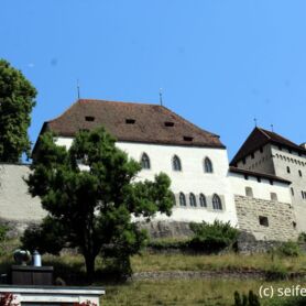 093-Lenzburg_2023_(78)_FM.JPG